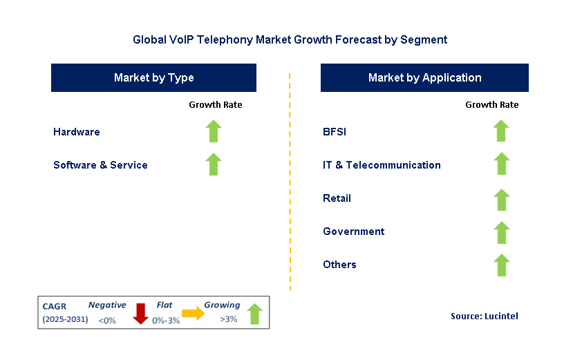 VoIP Telephony Market by Segment